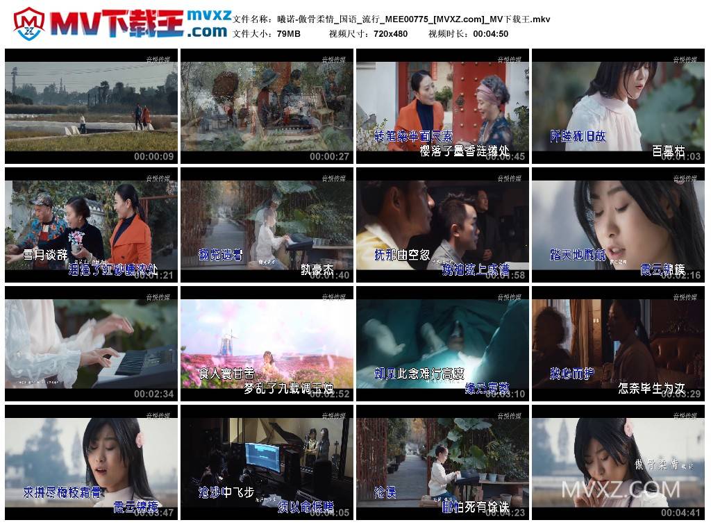 曦诺-傲骨柔情_国语_流行_MEE00775